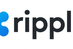 Ripple Forms New Standard to Allow for Complex NFT Apps on $XRP Ledger