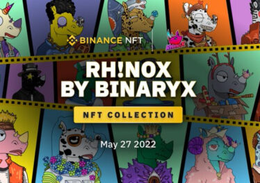 Binance NFT in High Spirits with Rh!noX by BinaryX NFT Collection