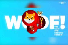 Shiba Inu launching a gaming NFT?