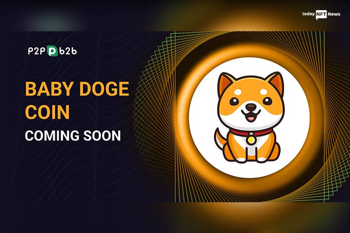 BabyDoge to be launched on P2PB2B