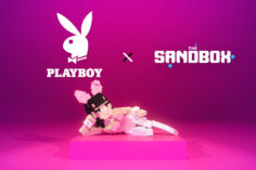 The Sandbox x Playboy