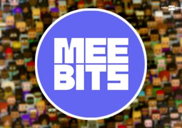 Meebits' rare 3D voxel characters