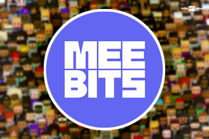 Meebits' rare 3D voxel characters