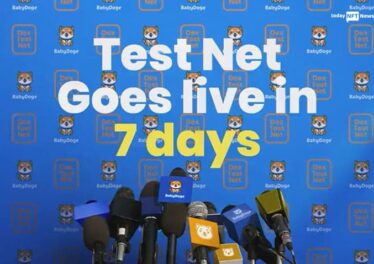 BabyDoge confirmed the swap