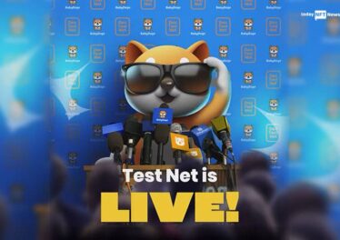 BabyDogeSwap live on BSC test net