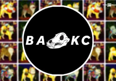 Bored Ape Kennel Club BAKC NFT Review