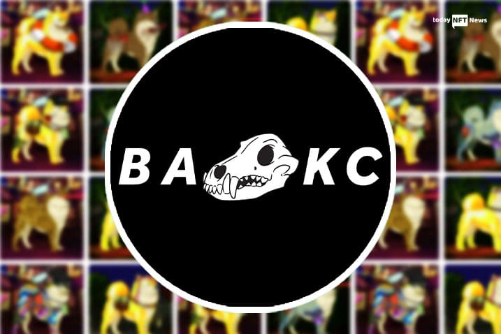 Bored Ape Kennel Club BAKC NFT Review
