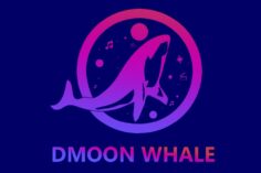 Cryptocurrency World got Bigger as DmoonWhale Launches the First Defi-tainment Token