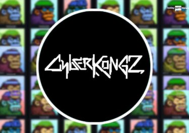 Cyberkongz NFT Review