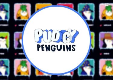 Pudgy Penguins NFT collection