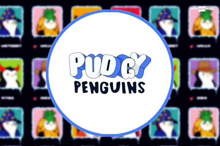 Pudgy Penguins NFT collection