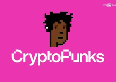 $135K CryptoPunk accidentally burned by NFT investor