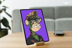 anti-SLAPP lawsuit against Bored Ape Yacht Club