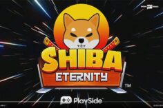 Shiba Inu completes 2 years