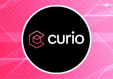 Curio, the all-rounder NFT tool backed by NFT experts