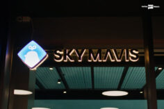 Google Cloud partners with Sky Mavis