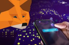 MetaMask's Custodial characteristics for craving NFTs