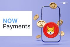 NOWPayments POS Can Accept Shiba Inus