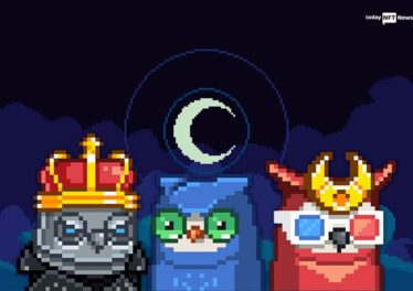 Moonbirds is launching DAO with $2.6 million funding in Ethereum and NFTs