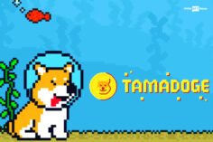 Tamadoge's NFTs on OpenSea