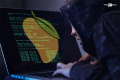 Mango Market hacker losses millions