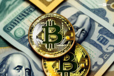 Bitcoin Market Value 10 years