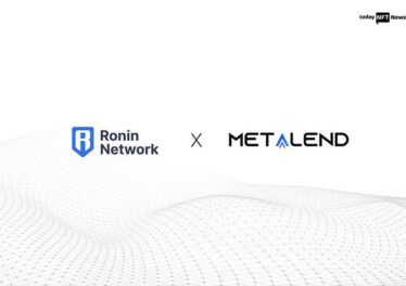 MetaLend partnered with Sky Mavis