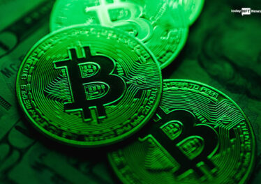 Ordinal Punks NFT collection