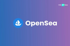 NFT Giant OpenSea Addresses Potential API Key Exposure