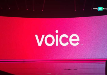 Voice NFT Platform Winds Down Amid Crypto Challenges