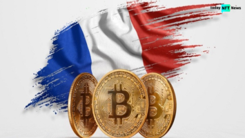 Cryptocurrency Gains Momentum Among French Investors, OECD Survey Reveals
