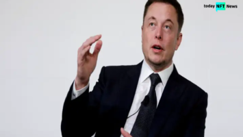 Elon Musk Points Out NFT Weakness, Bitcoin Backers Rejoice