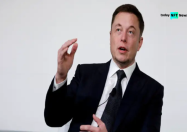 Elon Musk Points Out NFT Weakness, Bitcoin Backers Rejoice