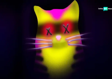 Quantum Cats NFTs by Taproot Wizards Overcome Technical Hurdles to Garner $11.3 Million in Bitcoin