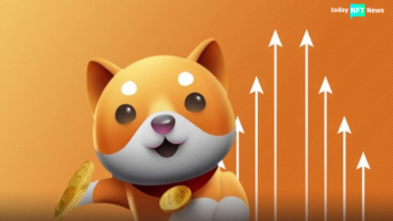 Baby Doge NFT Marketplace Launches Next Week