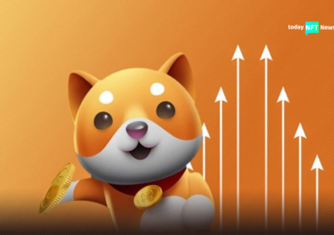 Baby Doge NFT Marketplace Launches Next Week
