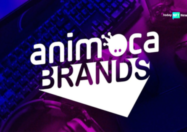 Animoca Brands Explores Potential IPO Amid NFT and Memecoin Competition